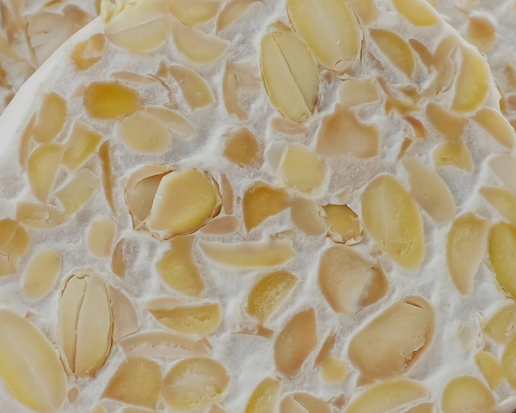 Close-up of a block of fresh tempe
