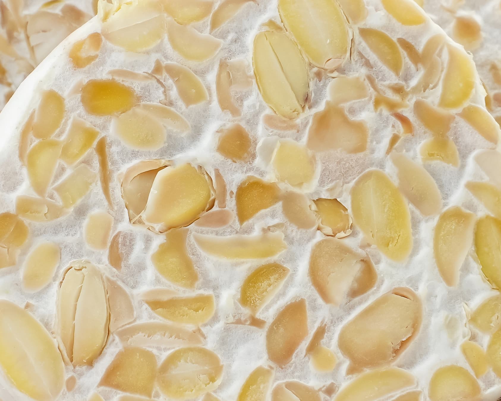 Close-up of the soybeans pressed together in a slice of tempe